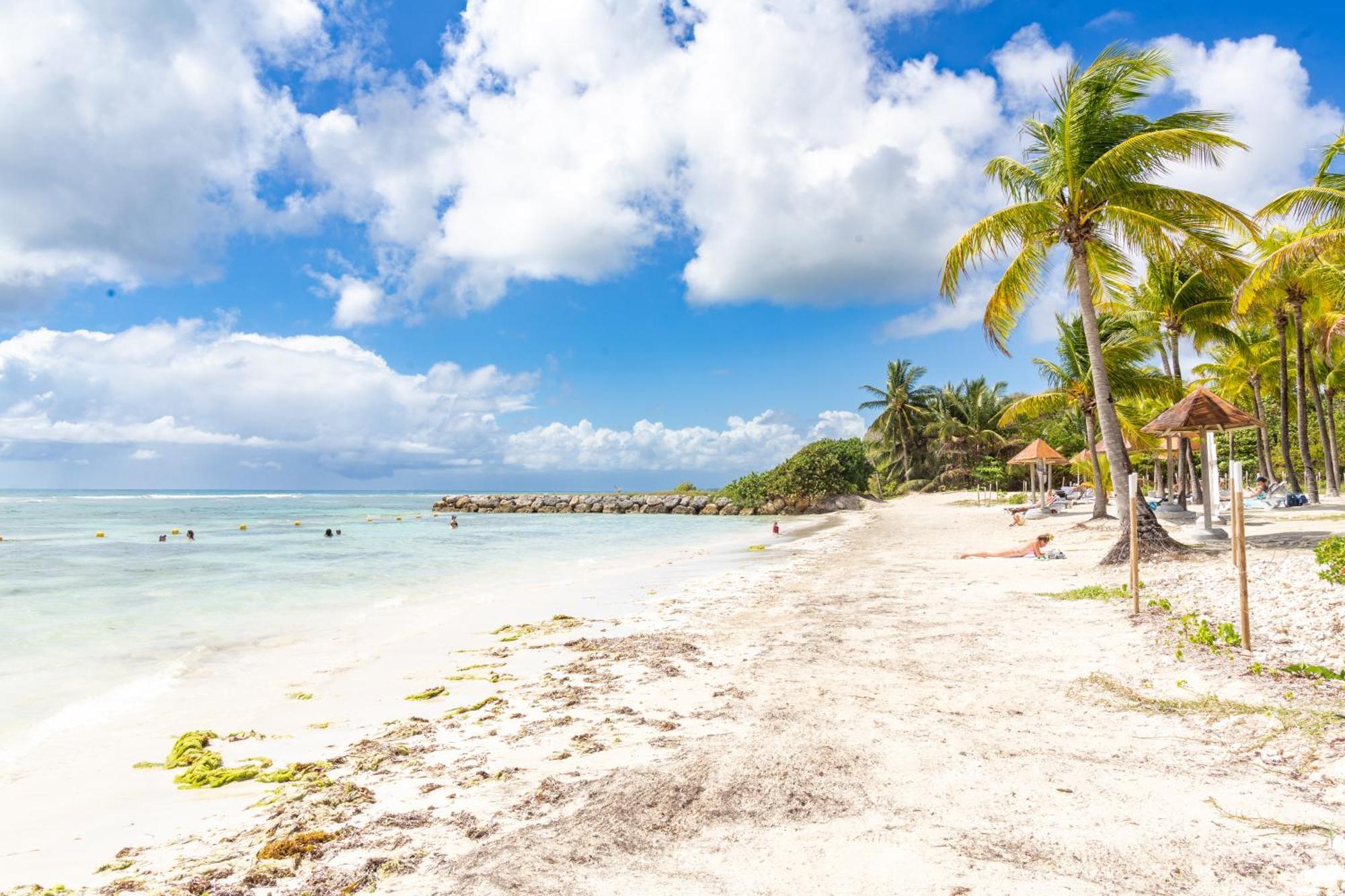 Residence Pierre & Vacances Premium Les Tamarins サンタンヌ エクステリア 写真
